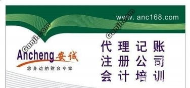 蜀山井崗路企業(yè)一站式財稅服務指南 代理記賬、進出口權(quán)及審計變更全解析